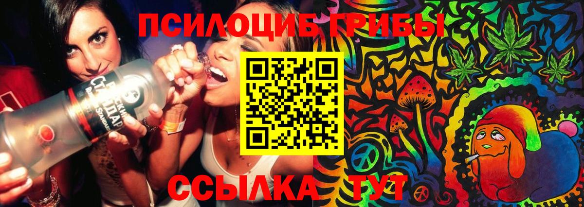 Калач-на-Дону  Галлюциногенные грибы Psilocybine cubensis  Вход с VPN 